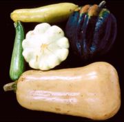 SquashVarieties