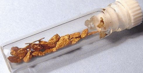 Gold nuggets
