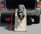 Access ramps for your pet's safety ... especially older dogs. Access ramps for your pet's safety ... especially older dogs.