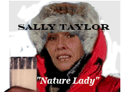 Sally Taylor